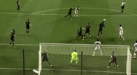 save andre blake GIF by Philadelphia Union
