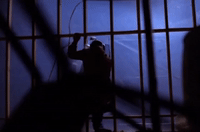 season 2 GIF by Twin Peaks on Showtime