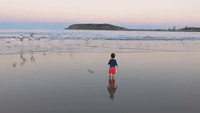Adorable Toddler Delights in Sunset Run With Seagulls on Stunning Coffs Harbour Beach
