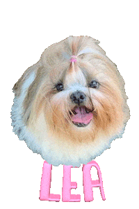 Dog Lea Sticker