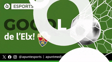 Soccer Futbol GIF by À Punt Mèdia