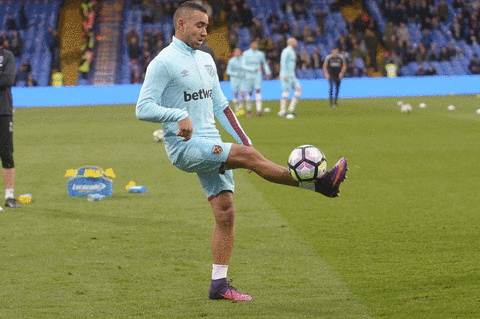 GIF by West Ham United