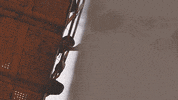 Palibex art artist arte graffiti GIF