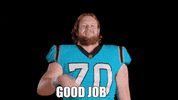 Happy Well Done GIF by Carolina Panthers