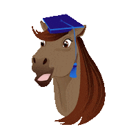 Sso Sticker by Star Stable