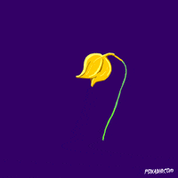 Animation Domination Flower GIF by gifnews