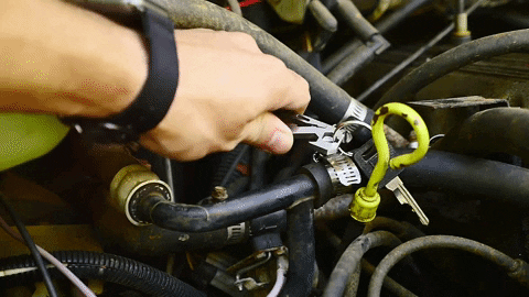 GRIFFINPOCKETTOOL giphygifmaker GIF