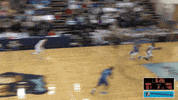 bob jones university basketball GIF by BJU Bruins