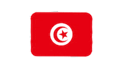 emojivid emoji flag emojivid tunisia Sticker