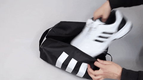 majorworld giphygifmaker GIF