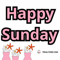 Happy Sunday Weekend Vibes GIF by Trealtorr