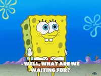 season 8 GIF by SpongeBob SquarePants