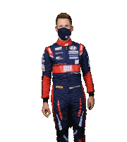 Motorsport Wtcr Sticker by FIA World Touring Car Cup