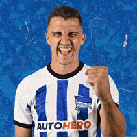 Celebration Bundesliga GIF by Hertha BSC