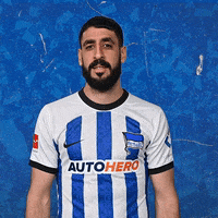 Sport Bundesliga GIF by Hertha BSC