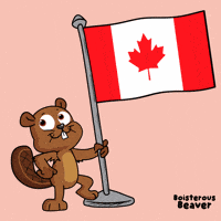 Canadian World GIF by VeeFriends