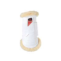 ZandonaOfficial prince kentucky dressage sensitive Sticker