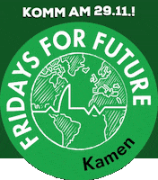 FfFKamen fff fridays for future kamen fffkamen GIF