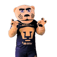 Football Sport Sticker by Pumas MX