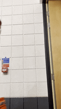 cjstw_ happy fun smile celebrate GIF