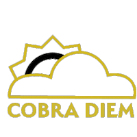 Stocks Trader Sticker by Cobra Trading