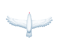 flying fly away Sticker by LWZ