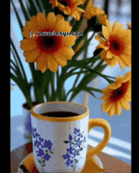 Flores Buenos Dias GIF by Murcianys LLC