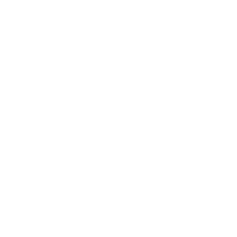 DrunkenMonkeyPrague prague bar crawl pub crawl pubcrawl Sticker