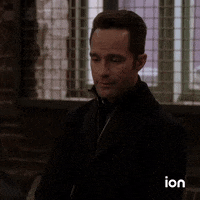 Law And Order Svu GIF by ION