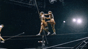 Circus Balance GIF by Ringling Bros. and Barnum & Bailey