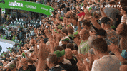 Soccer Bundesliga GIF by VfL Wolfsburg