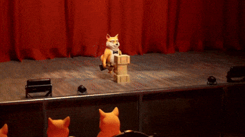 Winner Oscars GIF by Doge Pound