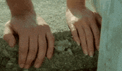 moving true love GIF