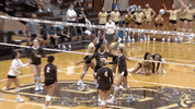 Celebration Dancing GIF by Brown Volleyball