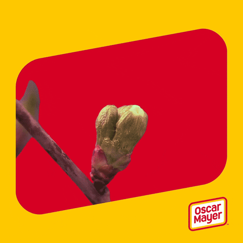 Hungry Food GIF by Oscar Mayer