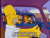 driving homer simpson GIF