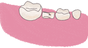 Dentist Odontologia Sticker
