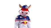 Rob Ice Hockey Sticker by EC Red Bull Salzburg