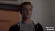 shameless GIF by Showtime