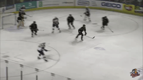 all star hockey GIF by Greenville Swamp Rabbits