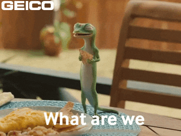 What Are We Doing GIF by GEICO