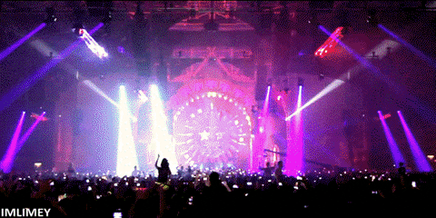 party life GIF
