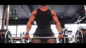 gym bodybuilding GIF