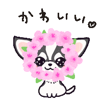 Dog Sticker