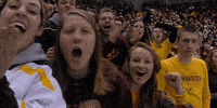 hockey fans GIF by Minnesota Gophers