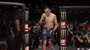 Tony Ferguson Sport GIF by UFC