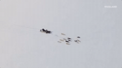 viceland GIF by Dead Set on Life