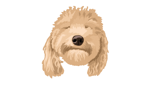 Golden Doodle Sticker by Sketchnote Academy