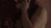 Music Video Love GIF by Ashley Kutcher