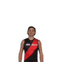 Dons Bombers Sticker by Essendon FC